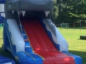 Rutsche Hai Hüpfburg Rutsche Hai